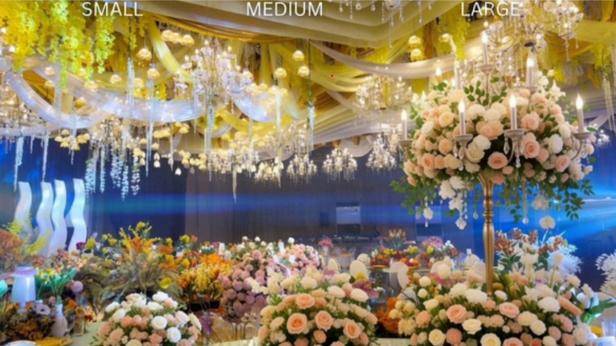 Additional VIP Detail