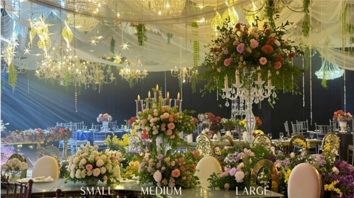 VIP Serpentine Setup